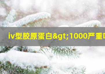 iv型胶原蛋白>1000严重吗